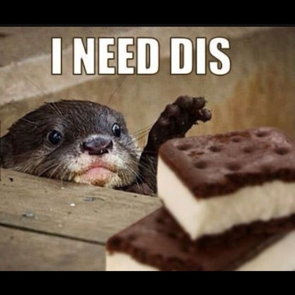 ISO *FOUND* 😊 dark green or purple black Sassaby makeup case complete train - Picture 4 of 4